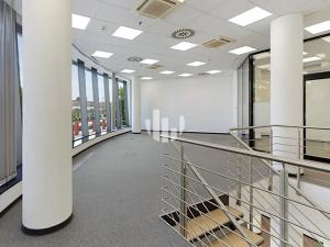 Pronájem obchodního prostoru, Brno, Orlí, 192 m2