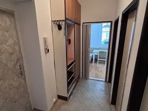 Pronájem bytu 1+1, Olomouc, Praskova, 40 m2