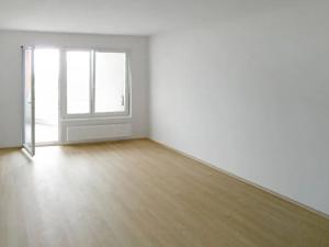 Pronájem bytu 1+kk, Praha - Horní Měcholupy, Hornoměcholupská, 37 m2