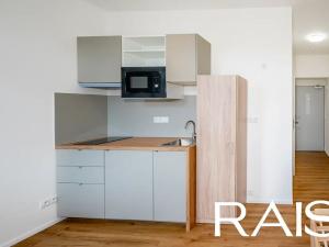 Pronájem bytu 1+kk, Brno, Merhautova, 19 m2