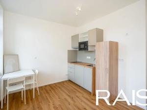 Pronájem bytu 1+kk, Brno, Merhautova, 19 m2