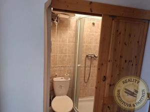 Pronájem bytu 1+kk, Praha - Břevnov, Nad Závěrkou, 20 m2