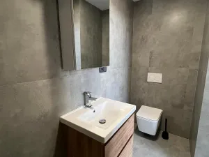 Pronájem bytu 1+1, Velký Týnec, Olomoucká, 40 m2