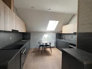Pronájem atypického bytu, Velký Týnec, Olomoucká, 20 m2