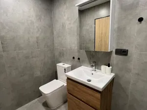 Pronájem atypického bytu, Velký Týnec, Olomoucká, 20 m2