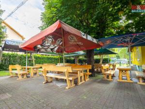 Prodej restaurace, Kyselka - Radošov, 15771 m2