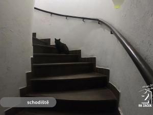 Prodej činžovního domu, České Budějovice, Hradební, 521 m2