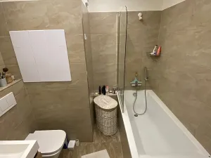 Pronájem bytu 2+kk, Kladno, M. Švabinského, 45 m2