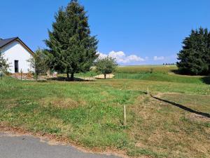 Prodej pozemku pro bydlení, Dolní Čermná, 1787 m2