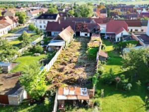 Prodej rodinného domu, Dolní Dunajovice, Hlavní, 200 m2