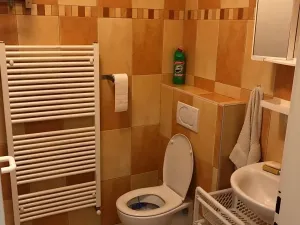 Pronájem bytu 1+kk, Černolice, Hlavní, 30 m2