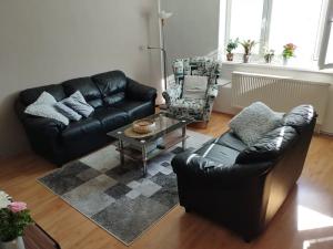 Pronájem bytu 2+1, Prostějov, nám. Spojenců, 60 m2