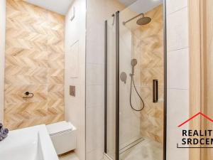 Pronájem bytu 1+1, Karviná, Nedbalova, 42 m2
