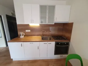 Pronájem bytu 1+1, Jihlava, Březinova, 42 m2