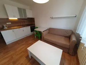 Pronájem bytu 1+1, Jihlava, Březinova, 42 m2