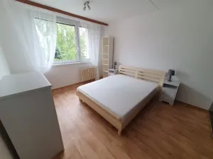 Pronájem bytu 1+1, Jihlava, Březinova, 42 m2