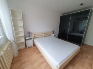 Pronájem bytu 1+1, Jihlava, Březinova, 42 m2