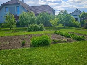 Pronájem rodinného domu, Olšany u Prostějova, 55 m2