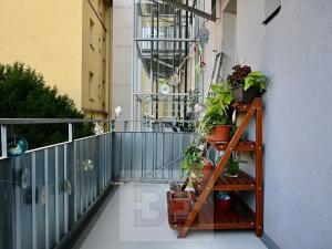 Pronájem bytu 3+kk, Brno, 80 m2