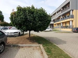Pronájem bytu 1+kk, Neveklov, náměstí Jana Heřmana, 40 m2