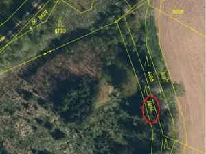 Prodej lesa, Pelhřimov, 536 m2