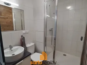 Pronájem bytu 1+1, Ústí nad Labem, Pincova, 38 m2