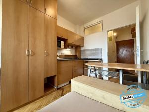 Pronájem bytu 1+kk, Opava, Haškova, 14 m2