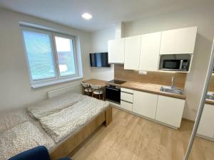 Pronájem bytu 1+kk, Zlín, Štefánikova, 24 m2