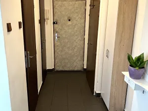 Prodej bytu 2+1, Plzeň, Koterovská, 53 m2
