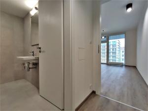 Pronájem bytu 1+kk, Brno, Placzkova, 29 m2