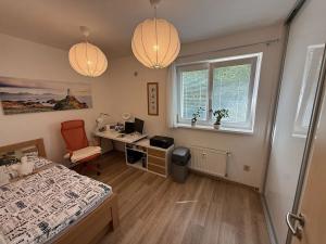 Pronájem bytu 4+kk, Brno, Rysova, 104 m2