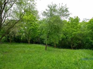 Prodej zahrady, Praha - Dolní Chabry, 10599 m2