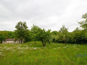 Prodej zahrady, Praha - Dolní Chabry, 10599 m2