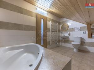 Prodej chaty, Benecko, 1480 m2