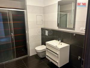 Pronájem bytu 2+kk, České Budějovice - České Budějovice 3, B. Smetany, 50 m2