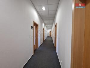 Pronájem kanceláře, Cheb, Májová, 25 m2