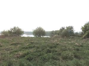 Prodej louky, Ledce, 2184 m2