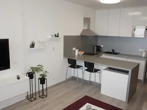 Pronájem bytu 1+kk, Brno, Řípská, 40 m2