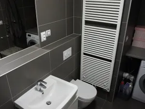 Pronájem bytu 1+kk, Brno, Řípská, 40 m2