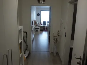 Pronájem bytu 1+kk, Brno, Řípská, 40 m2