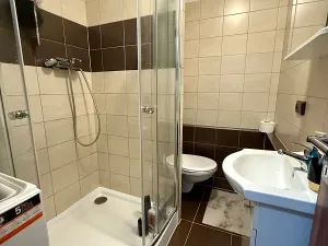 Pronájem bytu 1+1, Plzeň, Na Dlouhých, 37 m2