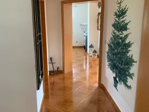 Prodej rodinného domu, Janovice nad Úhlavou, 195 m2