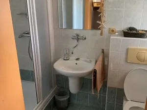Prodej rodinného domu, Janovice nad Úhlavou, 195 m2