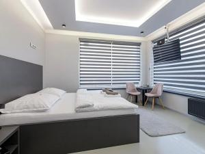 Prodej ubytování, Ostrava, 17. listopadu, 138 m2