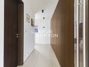 Pronájem bytu 3+kk, Praha - Vinohrady, Italská, 157 m2