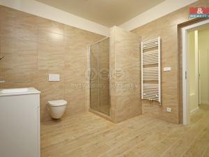 Pronájem bytu 3+kk, Karlovy Vary - Tašovice, Česká, 67 m2