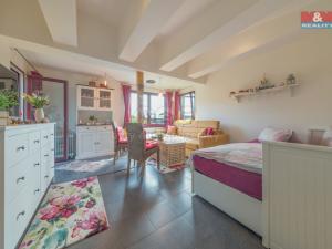 Prodej chaty, Ostrava - Krásné Pole, Nad Mlýnkem, 32 m2