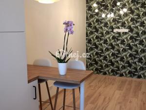 Pronájem bytu 2+kk, Jihlava, Třebízského, 42 m2