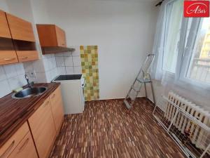 Prodej bytu 2+1, Teplice, Alejní, 53 m2