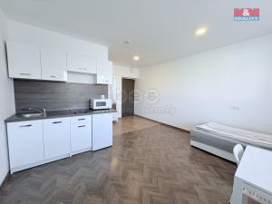 Pronájem bytu 1+kk, Pardubice - Semtín, 28 m2